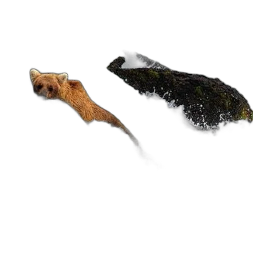 animal, dragon, creature, staff transparent PNG cut-out