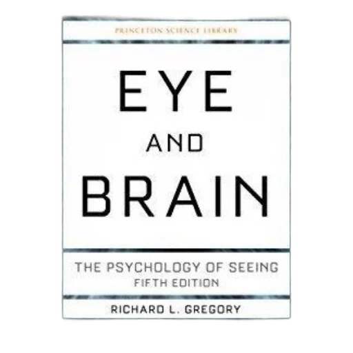 eye, brain, psychology, seeing transparent PNG cut-out