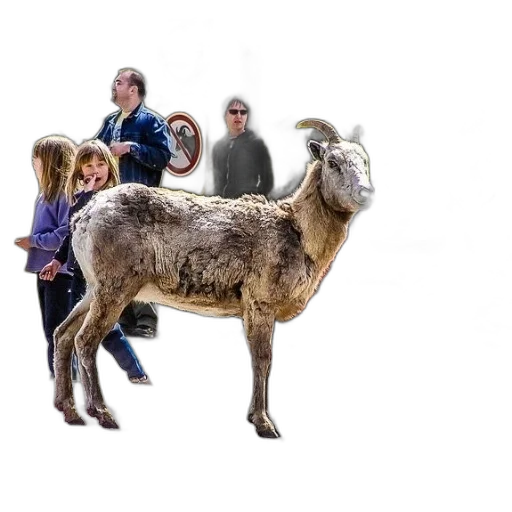 animal, staff, creature, photorealistic transparent PNG cut-out