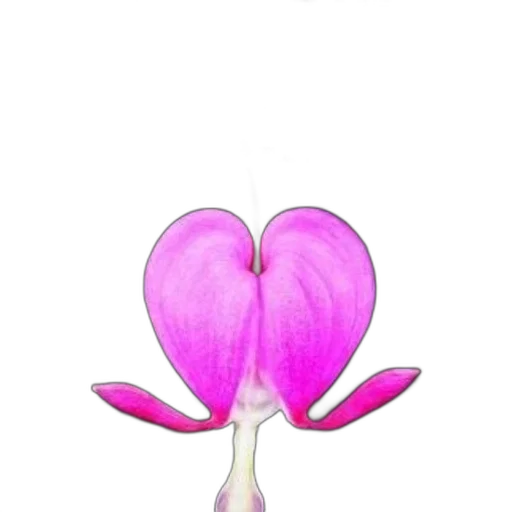 flower, jewelry, crown, staff transparent PNG cut-out