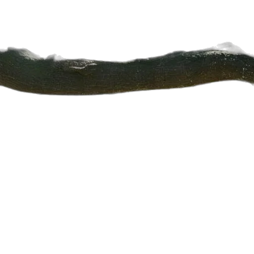 staff, hair, animal, sword transparent PNG cut-out