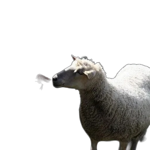 animal, creature, weapon, staff transparent PNG cut-out
