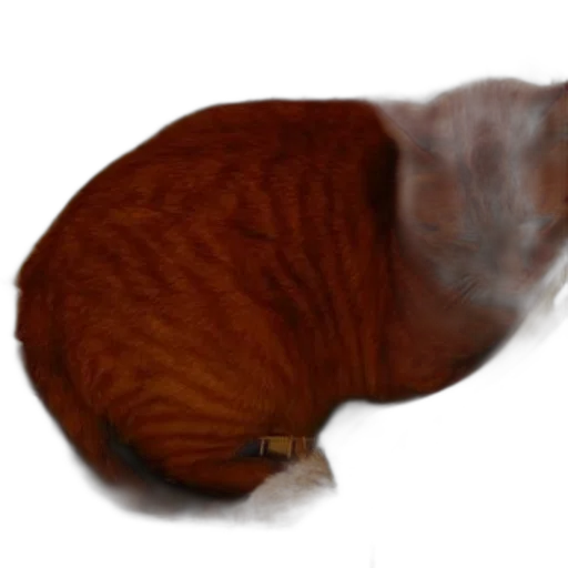 animal, creature, hair, staff transparent PNG cut-out