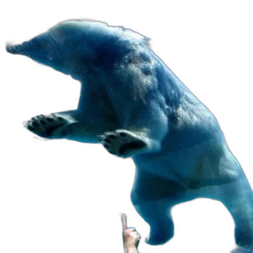 creature, animal, staff, dragon transparent PNG cut-out