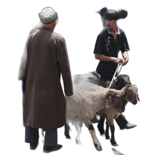 animal, hat, staff, creature transparent PNG cut-out