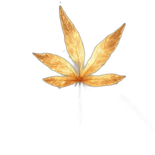 flower, crown, umbrella, jewelry transparent PNG cut-out
