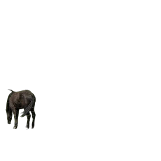 animal, creature, furniture, staff transparent PNG cut-out