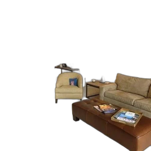 furniture, shoes, animal, creature transparent PNG cut-out