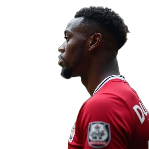 newcastle, person, during, game transparent PNG cut-out