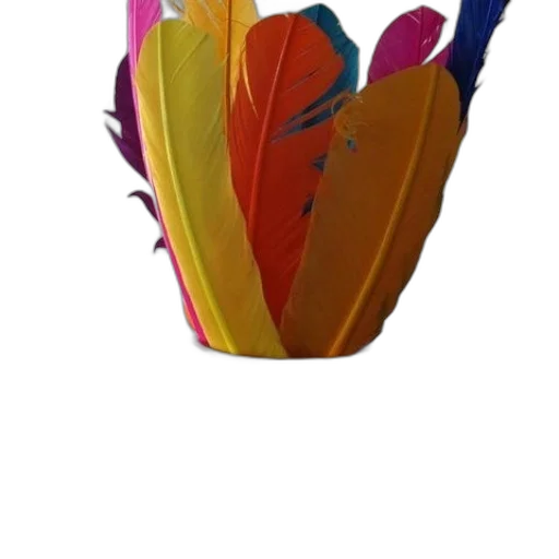 crown, flower, hat, umbrella transparent PNG cut-out