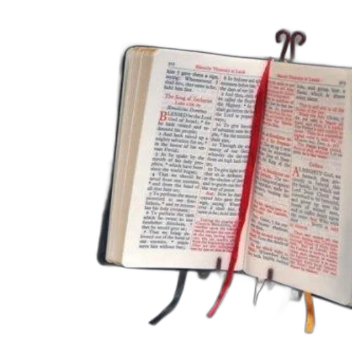 sword, weapon, staff, bible transparent PNG cut-out