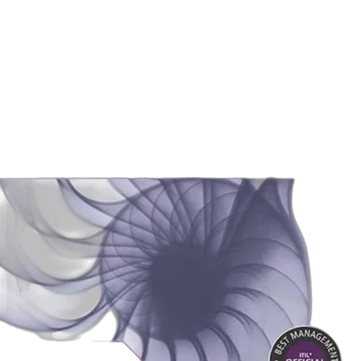flower, umbrella, hair, crown transparent PNG cut-out