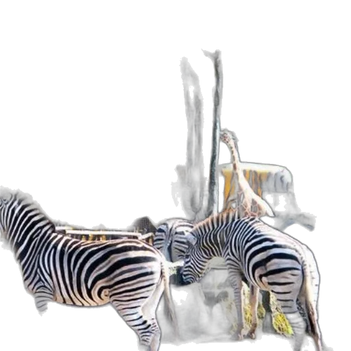 jewelry, animal, furniture, shoes transparent PNG cut-out