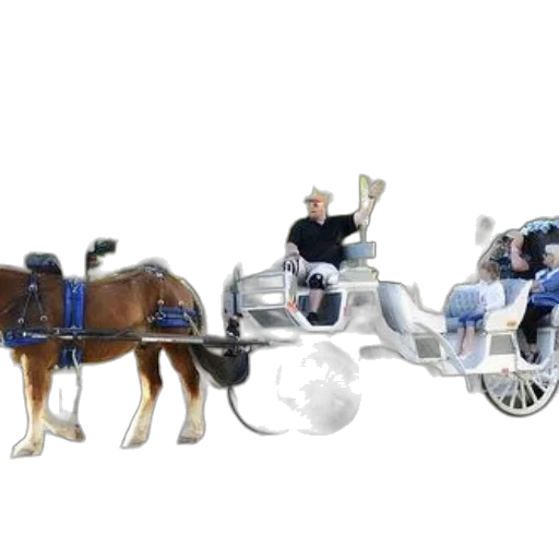 car, staff, robot, animal transparent PNG cut-out