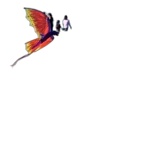 dragon, staff, animal, umbrella transparent PNG cut-out
