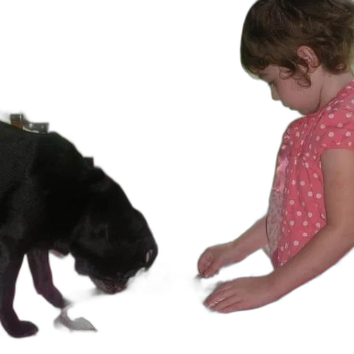 animal, young, girl, pink transparent PNG cut-out