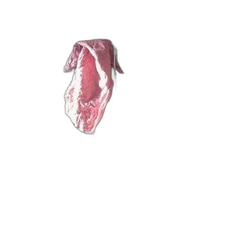 food, animal, face, shoes transparent PNG cut-out