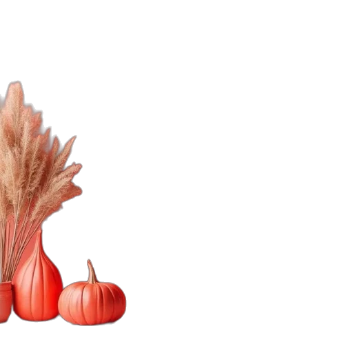 crown, flower, food, hair transparent PNG cut-out