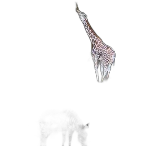 animal, creature, jewelry, staff transparent PNG cut-out
