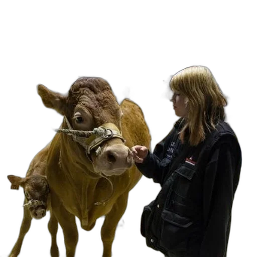 animal, photorealistic, woman, black transparent PNG cut-out