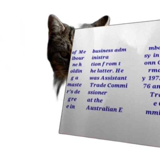 staff, animal, cat, sign transparent PNG cut-out