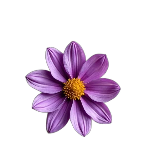 flower, crown, jewelry, staff transparent PNG cut-out