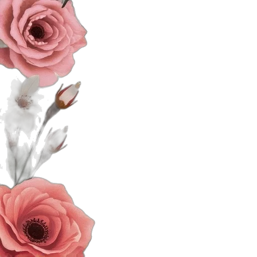 flower, dress, crown, jewelry transparent PNG cut-out