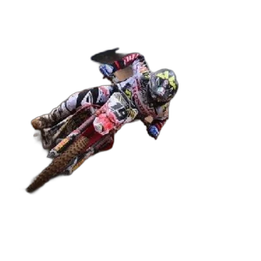 animal, photorealistic, motorcycle, racer transparent PNG cut-out