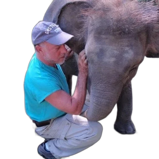 animal, creature, staff, man transparent PNG cut-out