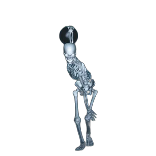 robot, staff, animal, creature transparent PNG cut-out