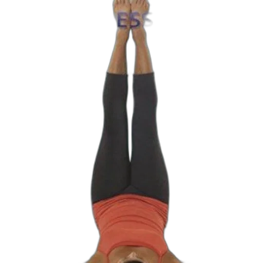 image, cover, pilates, essentials transparent PNG cut-out