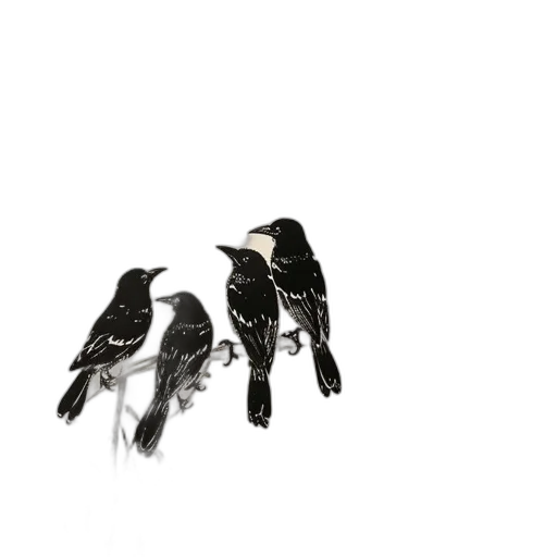 animal, shoes, crown, weapon transparent PNG cut-out