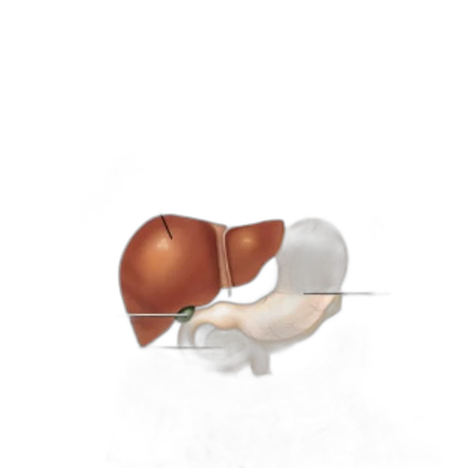 food, staff, robot, weapon transparent PNG cut-out