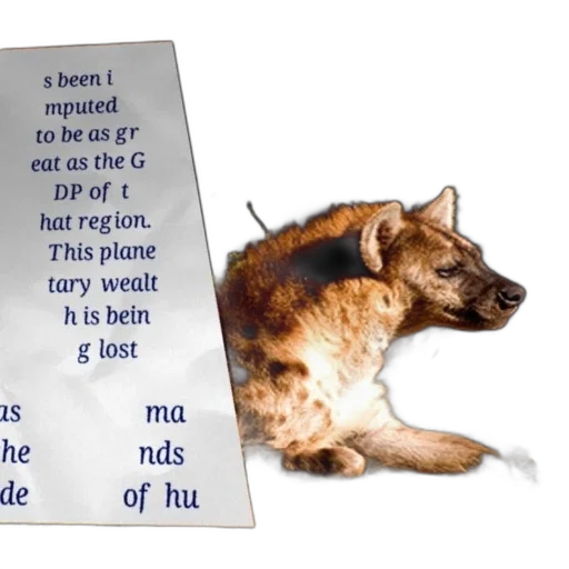 animal, dragon, dress, hyena transparent PNG cut-out