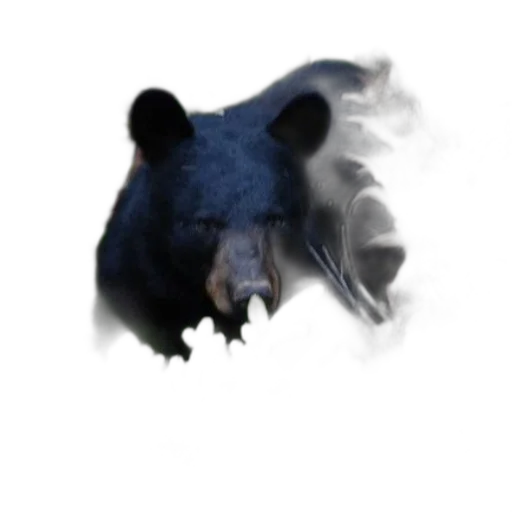 mask, animal, creature, face transparent PNG cut-out