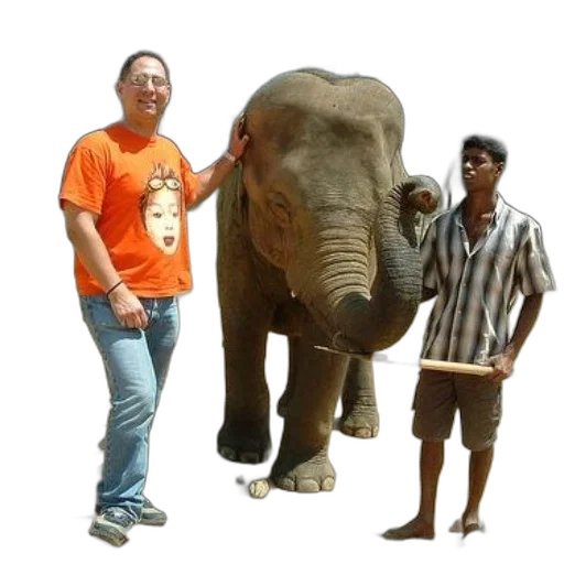 animal, staff, creature, umbrella transparent PNG cut-out