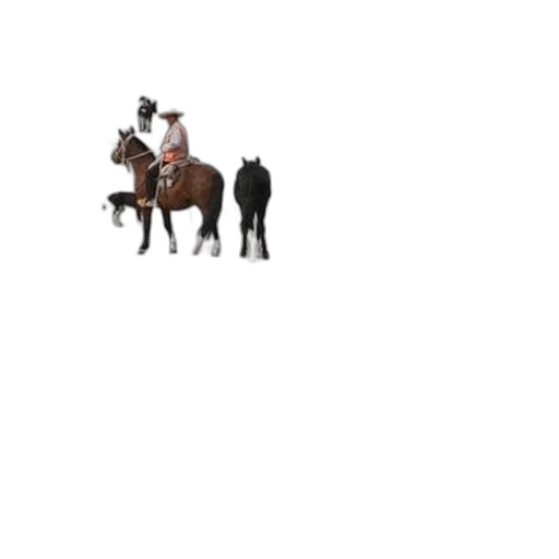 animal, hat, staff, furniture transparent PNG cut-out