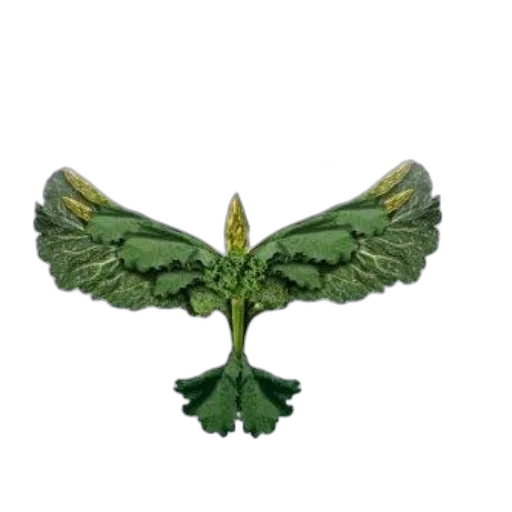crown, flower, dragon, food transparent PNG cut-out