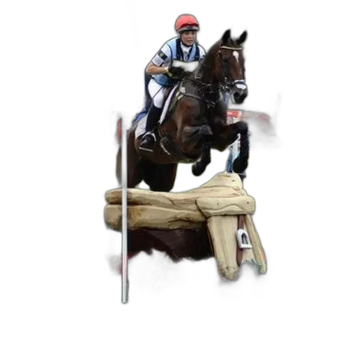 animal, staff, photorealistic, rider transparent PNG cut-out