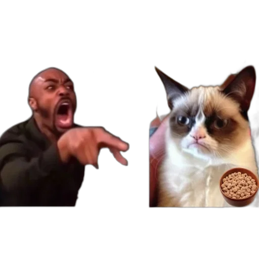 animal, food, creature, image transparent PNG cut-out