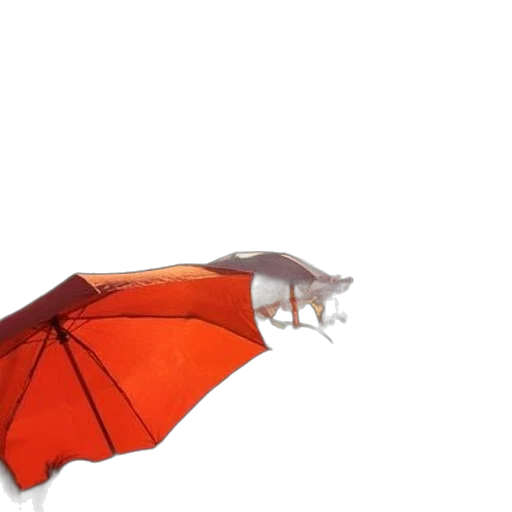 umbrella, dragon, animal, creature transparent PNG cut-out