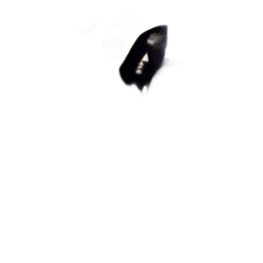 hat, shoes, mask, hair transparent PNG cut-out