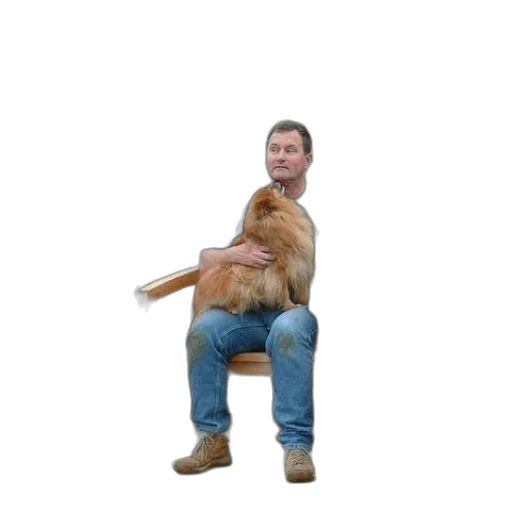 animal, furniture, staff, creature transparent PNG cut-out