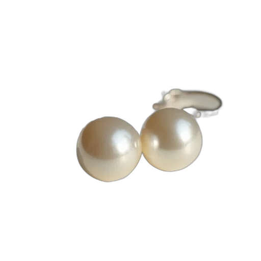 jewelry, 3d render, pair, white transparent PNG cut-out