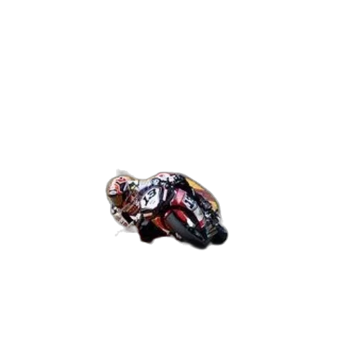 animal, car, creature, shoes transparent PNG cut-out