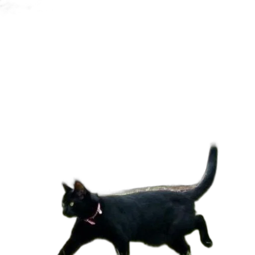 animal, staff, creature, robot transparent PNG cut-out
