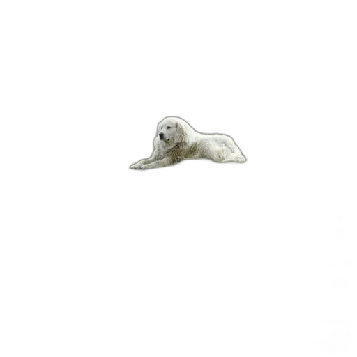 animal, creature, hair, staff transparent PNG cut-out