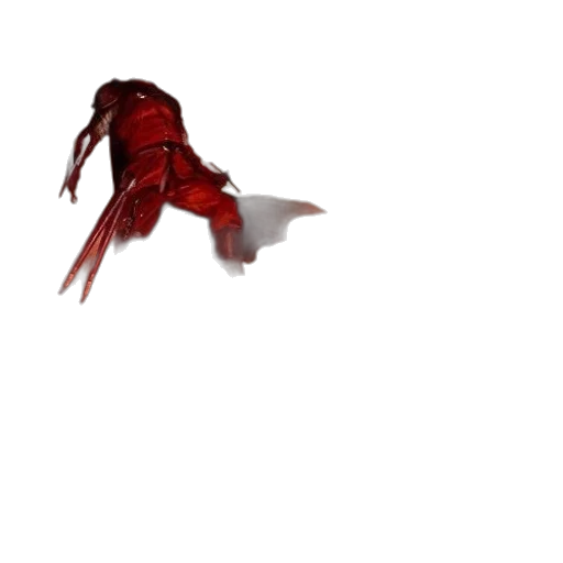 dragon, creature, animal, hair transparent PNG cut-out