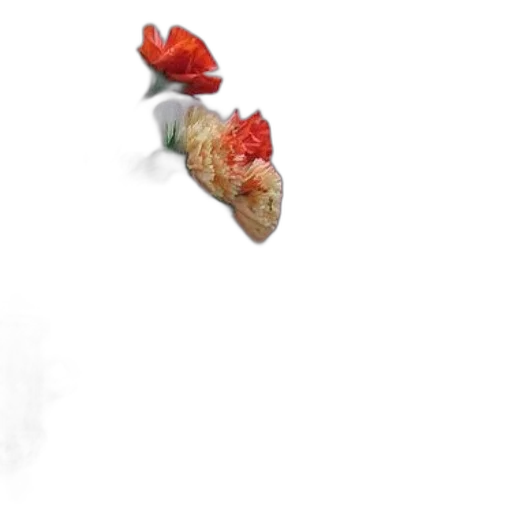 flower, food, crown, animal transparent PNG cut-out