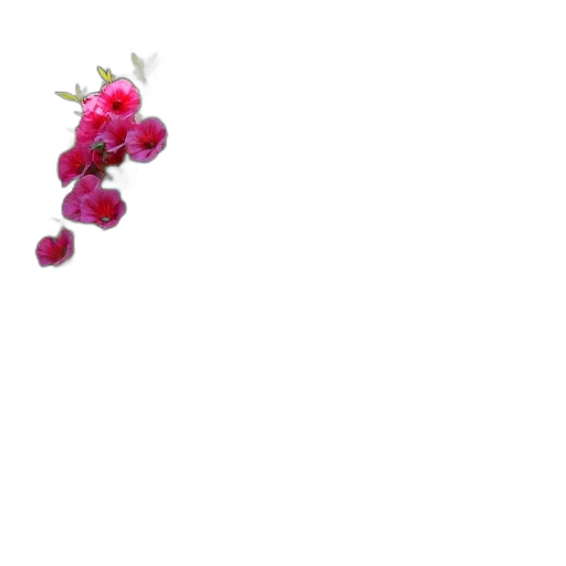 flower, crown, jewelry, food transparent PNG cut-out